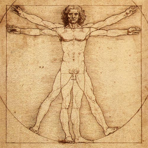 Da Vinci sein vitruvianischer Mensch